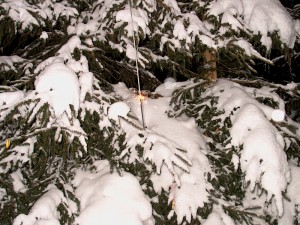 2001.12.15 19.42.30.jpg